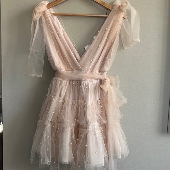 Mable Dresses & Skirts - Mable Pearl Stud Swiss Dot Tulle Mini Dress in blush pink size large